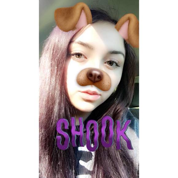 Meet your Posher, Sam - Picture 1 of 1